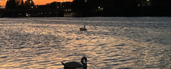 Der Gründer von Bootsfahrt Heidelberg ist in der Sendung SWR Expedition in die Heimat zu sehen.