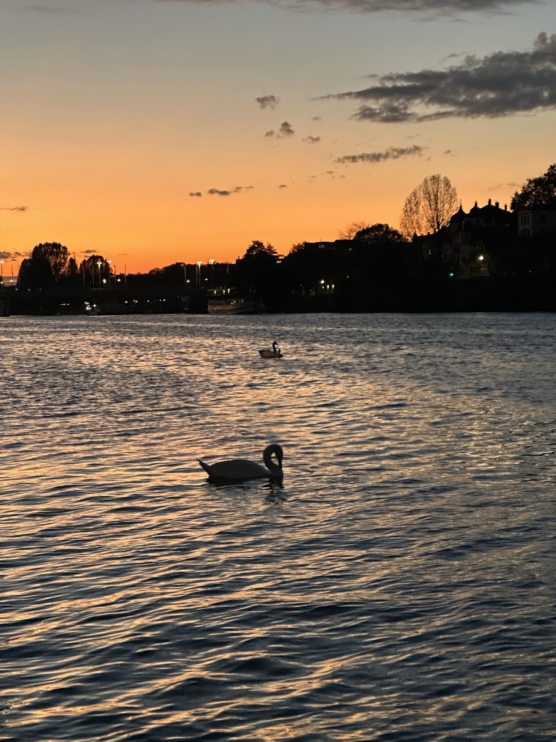 Der Gründer von Bootsfahrt Heidelberg ist in der Sendung SWR Expedition in die Heimat zu sehen.