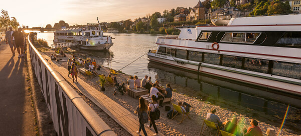 Der Neckarstrand Heidelberg liegt direkt neben unserem Anleger und lädt zum Verweilen ein!