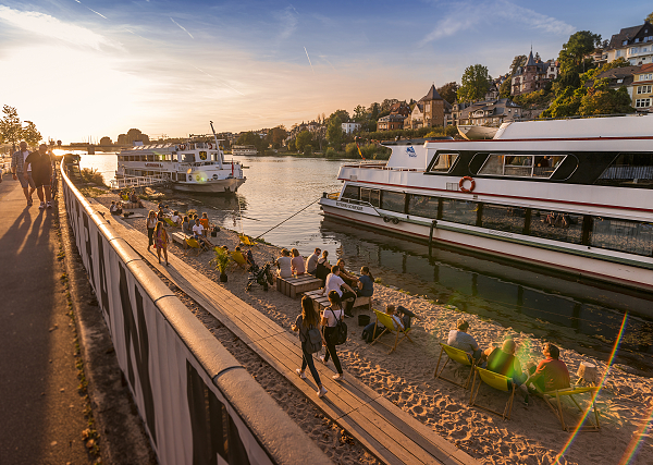 Der Neckarstrand Heidelberg liegt direkt neben unserem Anleger und lädt zum Verweilen ein!