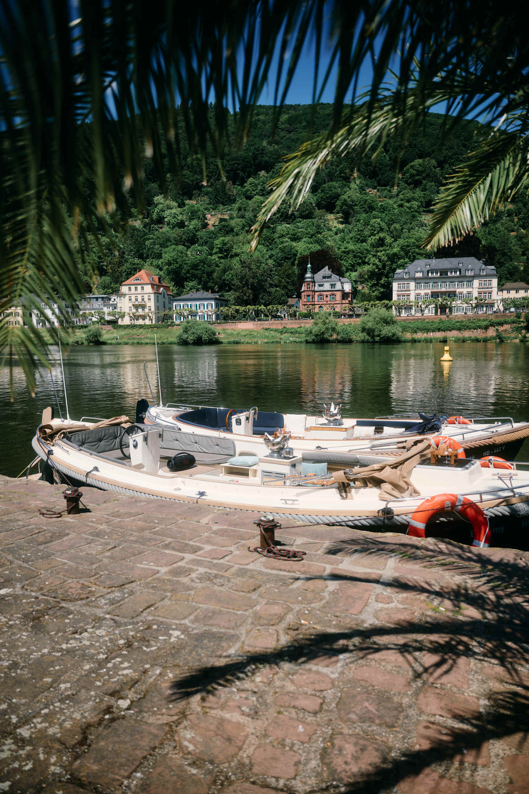 Schifffahrt Heidelberg: Alle Anbieter im Überblick!