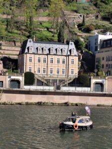 Neckarwiese & Neuenheimer Villen